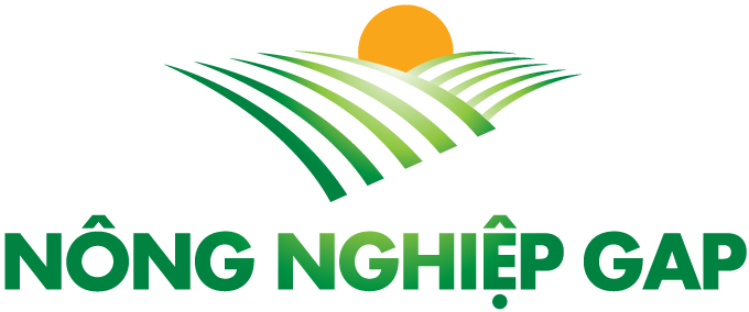 Cty Cổ Phần Nông Nghiệp GAP